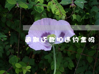 逾期还款扣违约金吗 逾期还款扣违约金吗
