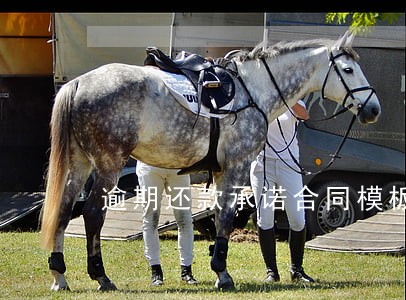 逾期还款承诺合同模板 逾期还款承诺合同模板