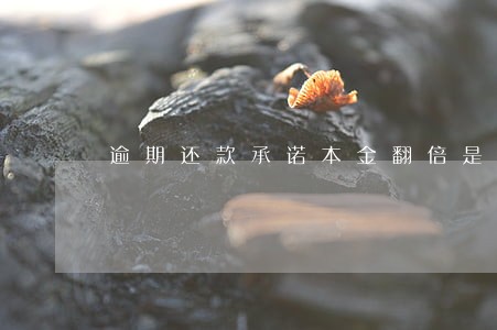 逾期还款承诺本金翻倍是否合理 逾期还款承诺本金翻倍是否合理