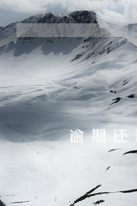 逾期还款报告 逾期还款报告