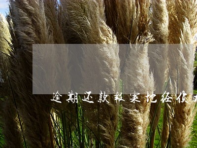 逾期还款报案地经侦大队 逾期还款报案地经侦大队