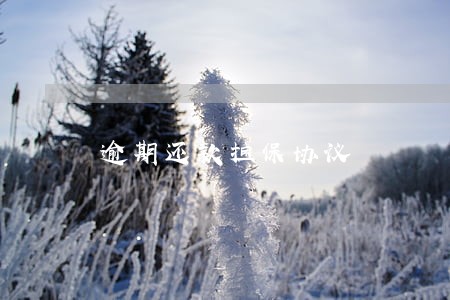 逾期还款担保协议 逾期还款担保协议
