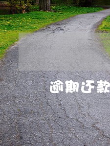 逾期还款担保无利息 逾期还款担保无利息