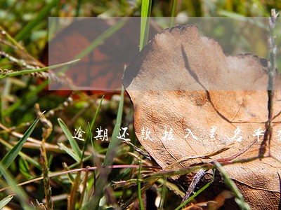 逾期还款拉入黑名单有办法补救吗 逾期还款拉入黑名单有办法补救吗