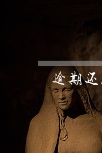 逾期还款按揭保证 逾期还款按揭保证