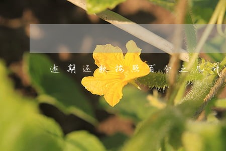 逾期还款按照百分之几计算 逾期还款按照百分之几计算