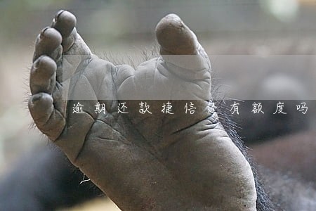 逾期还款捷信还有额度吗 逾期还款捷信还有额度吗
