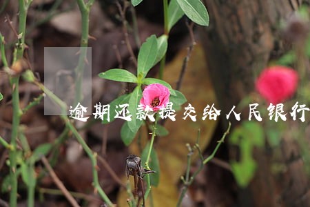 逾期还款提交给人民银行征信 逾期还款提交给人民银行征信