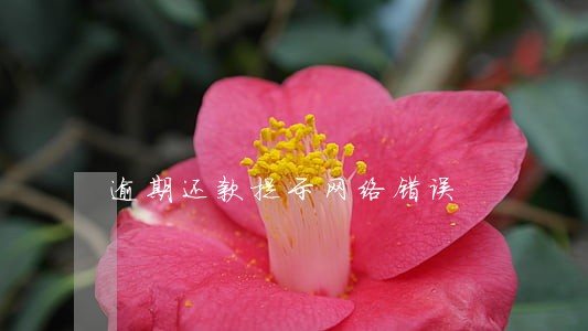 逾期还款提示网络错误 逾期还款提示网络错误