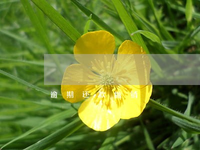 逾期还款撤销 逾期还款撤销