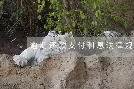 逾期还款支付利息法律规定 逾期还款支付利息法律规定
