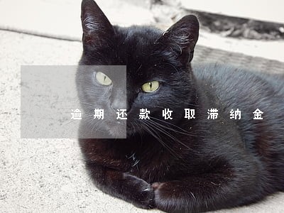 逾期还款收取滞纳金 逾期还款收取滞纳金