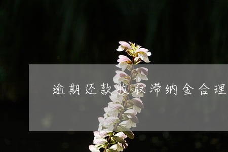 逾期还款收取滞纳金合理吗 逾期还款收取滞纳金合理吗