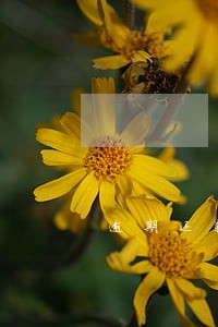 逾期还款收费标准 逾期还款收费标准