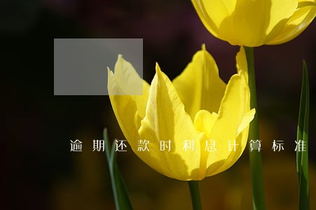 逾期还款时利息计算标准 逾期还款时利息计算标准
