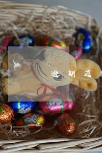 逾期还款时间每月一日至 逾期还款时间每月一日至