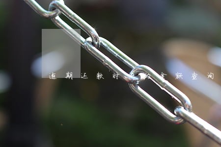 逾期还款时间的金额查询时间 逾期还款时间的金额查询时间