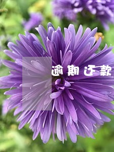 逾期还款是不是入黑名单 逾期还款是不是入黑名单