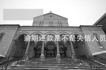 逾期还款是不是失信人员