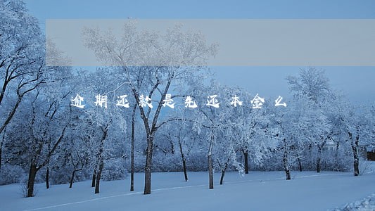 逾期还款是先还本金么 逾期还款是先还本金么