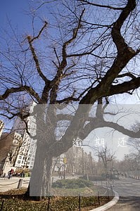 逾期还款是先还本金还是利息 逾期还款是先还本金还是利息