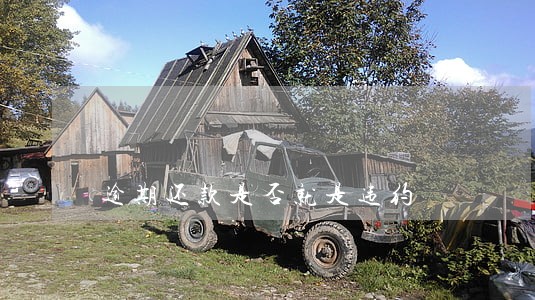 逾期还款是否就是违约 逾期还款是否就是违约