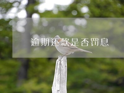 逾期还款是否罚息 逾期还款是否罚息