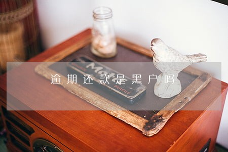 逾期还款是黑户吗 逾期还款是黑户吗