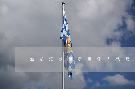 逾期还款显示担保人代还 逾期还款显示担保人代还