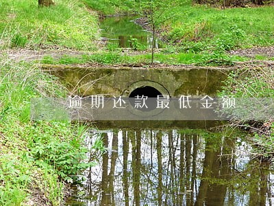 逾期还款最低金额 逾期还款最低金额