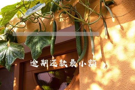 逾期还款最小额