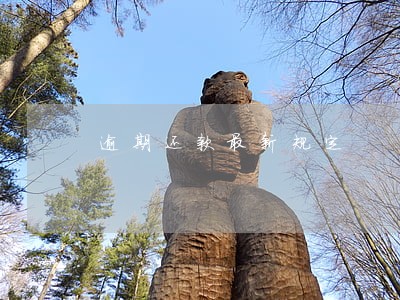 逾期还款最新规定 逾期还款最新规定