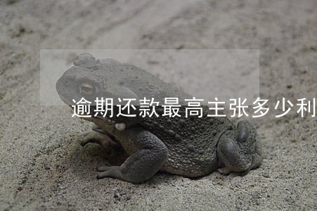逾期还款最高主张多少利息 逾期还款最高主张多少利息