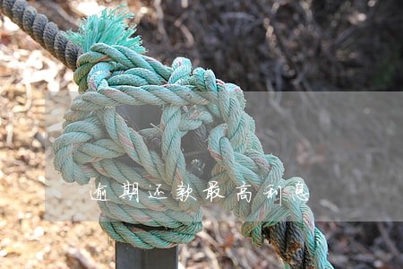 逾期还款最高利息 逾期还款最高利息