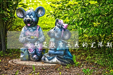 逾期还款有三天的宽限期 逾期还款有三天的宽限期