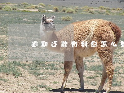 逾期还款有利息怎么算 逾期还款有利息怎么算