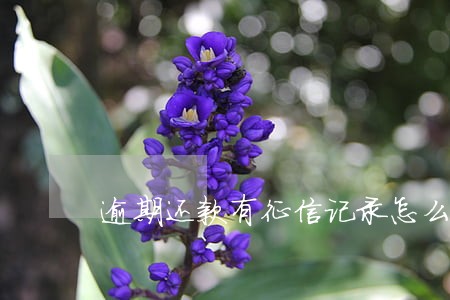 逾期还款有征信记录怎么办 逾期还款有征信记录怎么办
