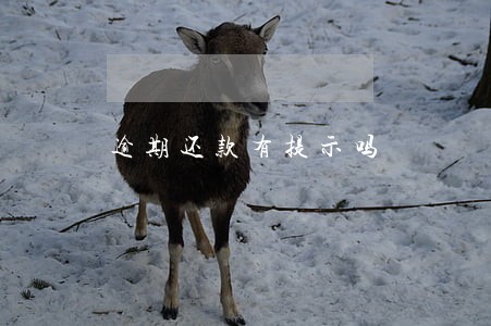 逾期还款有提示吗 逾期还款有提示吗