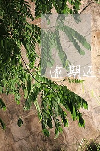 逾期还款有无逾期记录 逾期还款有无逾期记录