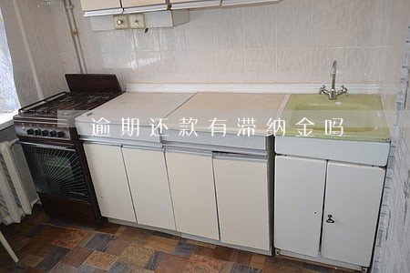 逾期还款有滞纳金吗 逾期还款有滞纳金吗
