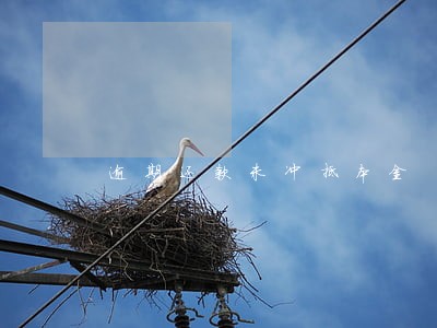 逾期还款未冲抵本金 逾期还款未冲抵本金