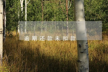 逾期还款未扣款 逾期还款未扣款
