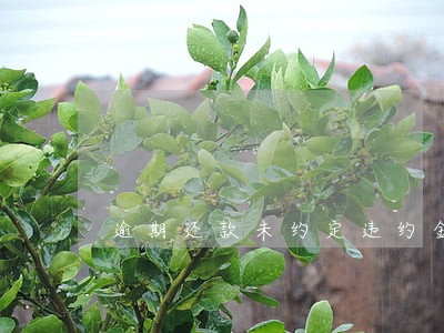逾期还款未约定违约金 逾期还款未约定违约金