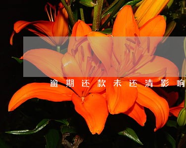 逾期还款未还清影响征信吗 逾期还款未还清影响征信吗