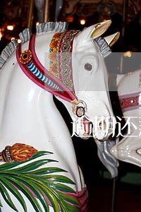 逾期还款本金利息 逾期还款本金利息