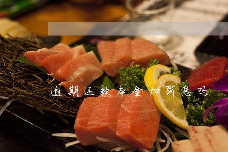 逾期还款本金加罚息吗 逾期还款本金加罚息吗