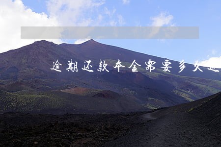 逾期还款本金需要多久还款条才撤 逾期还款本金需要多久还款条才撤