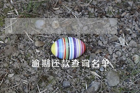 逾期还款查询名单 逾期还款查询名单