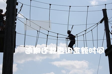 逾期还款查询金额时间 逾期还款查询金额时间