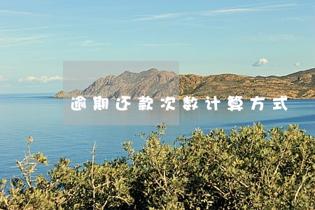逾期还款次数计算方式 逾期还款次数计算方式
